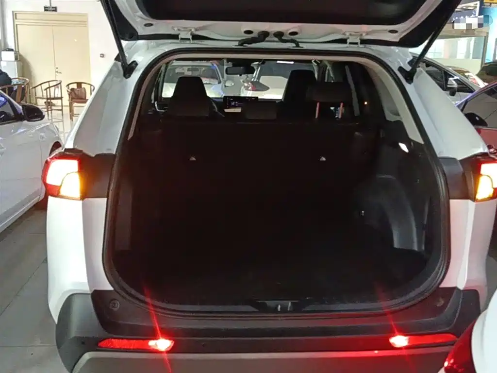 Toyota RAV4 Rongfang 2023 2.0L CVT FWD Style Plus Edition фото 19