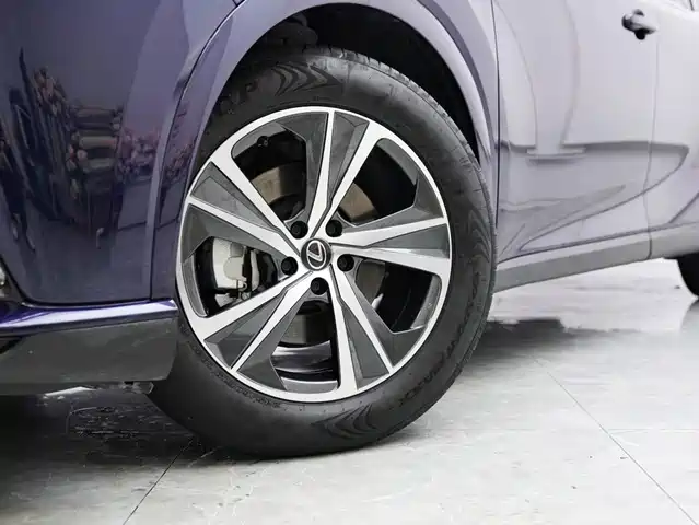 Lexus RX 2025 300 4WD Premium Edition — фото 4