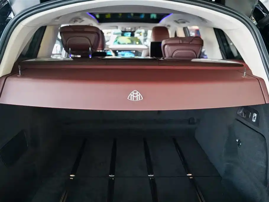 Mercedes-Benz Maybach GLS 2021 GLS 600 4MATIC Ritual Edition фото 13