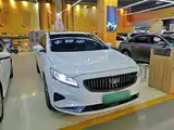 Фото 4 - Geely Borui