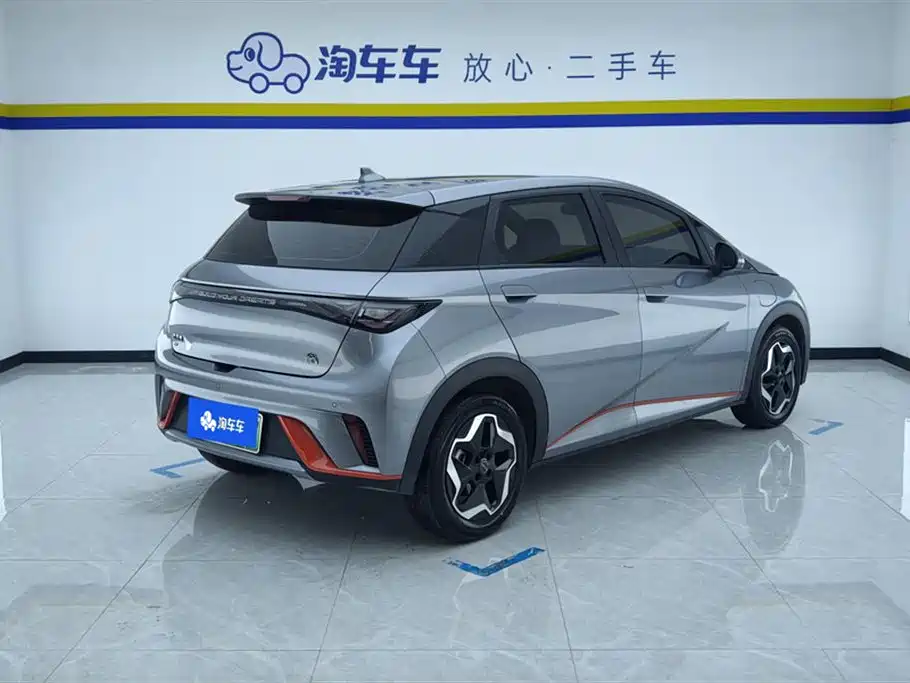 BYD Dolphin 2021 Model 405km Fashion Edition фото 3