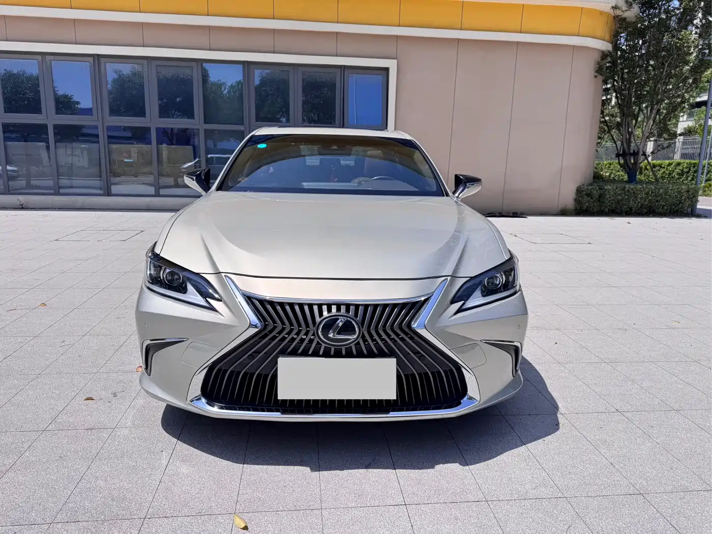 Lexus ES 2018 200 Excellence Edition China V фото 5