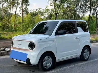Geely Panda