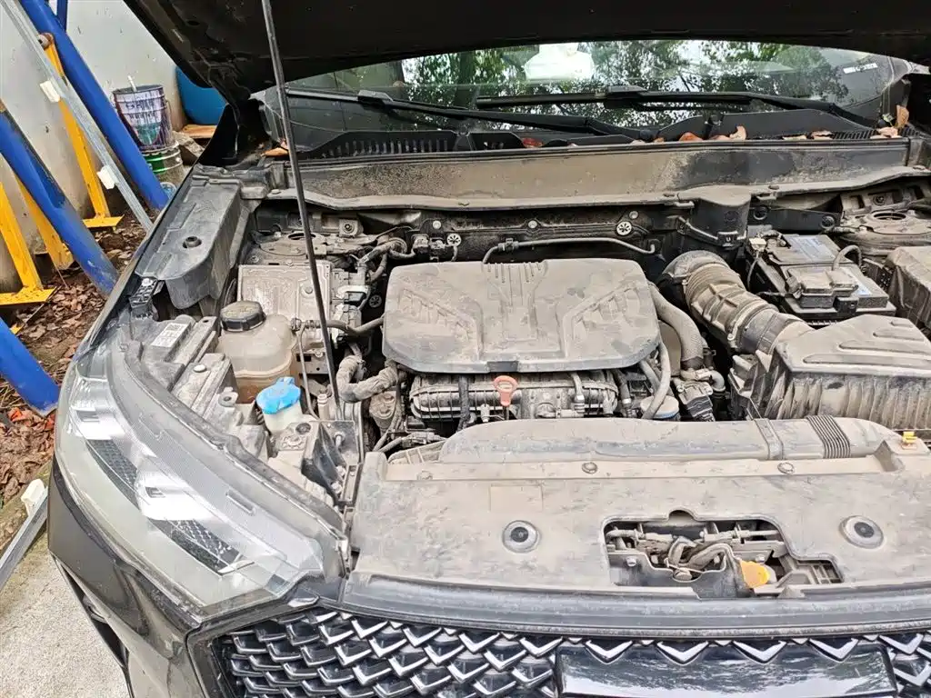 Haval H6 2021 3rd Generation 2.0T Auto 2WD Max фото 21