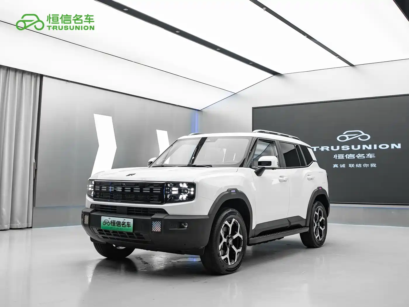 Jetour Shanhai T1 2025 2025 150km Ocean Edition