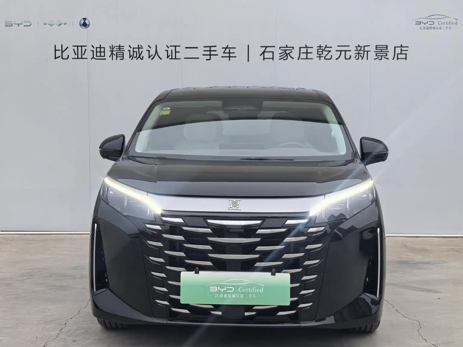 Фото 2 - BYD Xia