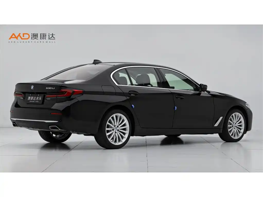 BMW 5 Series 2021 530Li Premium Luxury Package фото 3