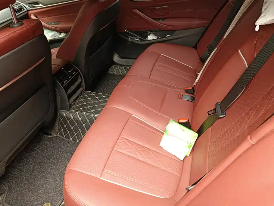 BMW 5 Series 2022 Model Second Facelift 530Li Leading M Sport Package фото 11