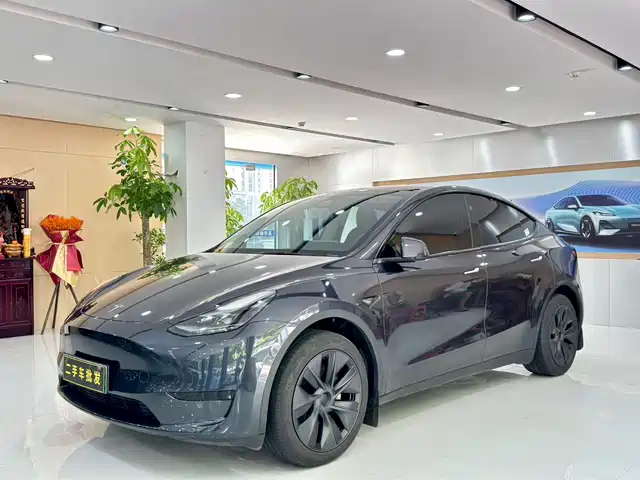 Tesla Model Y 2024