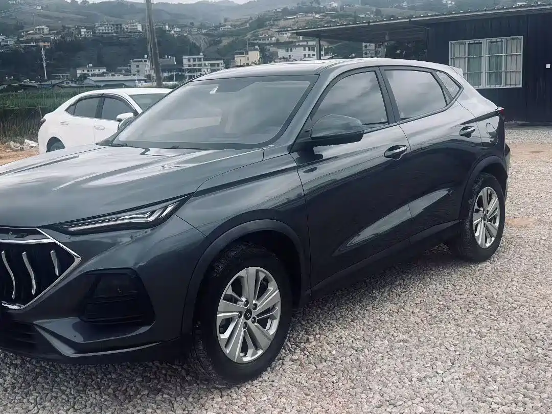 Changan Oshan Changan Oushang X5 2021 2021 1.6L Manual Luxury Edition