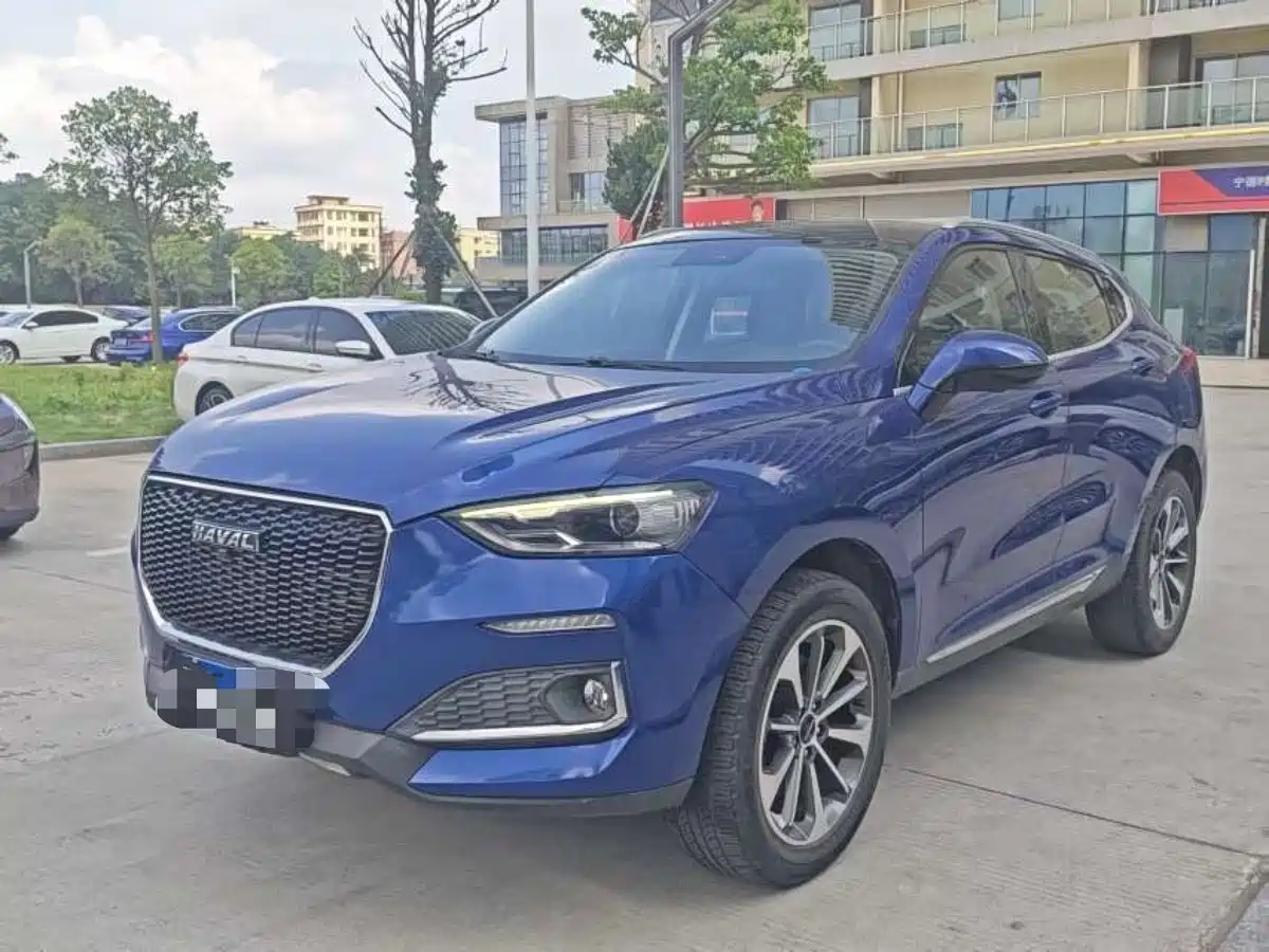 Haval F5 2019 National Trend Edition 1.5T iTrend China VI фото 8