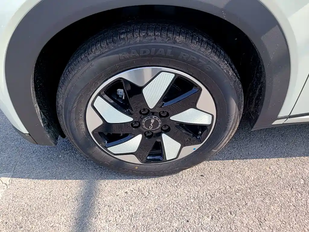 BYD Dolphin 2026 2025 420km Freedom Edition