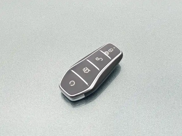 صورة 15 - BYD Tang L