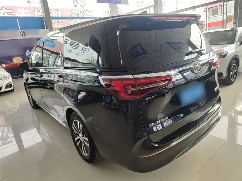 Buick GL8 2023 ES Landmaster Comfort фото 5