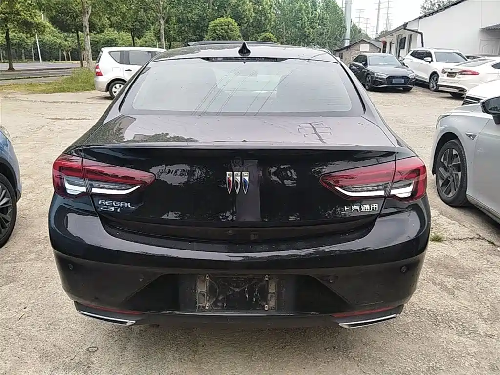 Buick Regal 2024 25T Ultra Comfort Edition фото 6