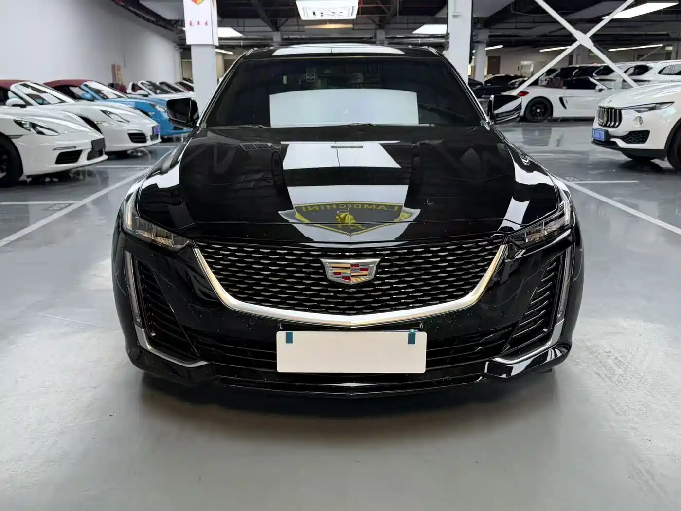 Cadillac CT5 2023 28T Luxury Style (Standard Edition) фото 2