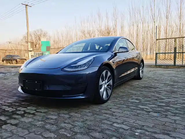 TESLA MODEL 3 (IMPORTED) 2019