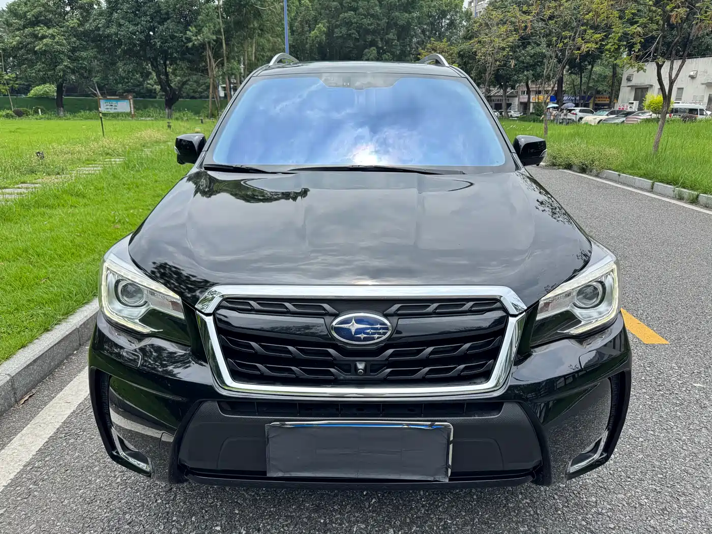 Subaru Forester 2018 2.0i Fashion Navigation Edition фото 2