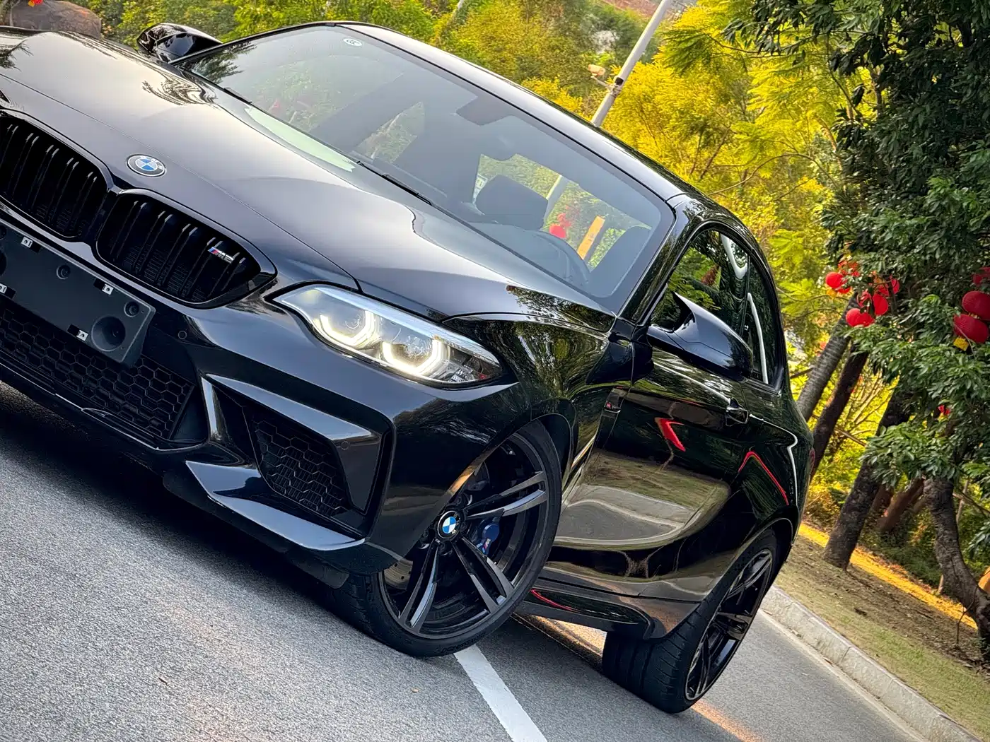 BMW M2 2019 2018 M2 Thunder Edition