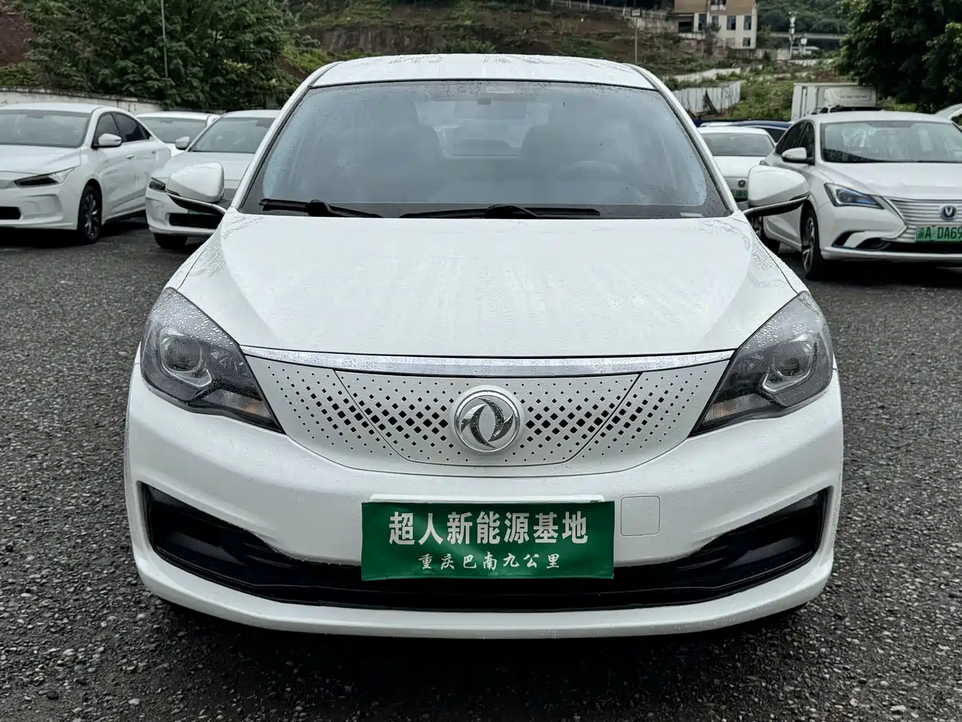 Dongfeng Aeolus Dongfeng Fengshen E70 2022 2022 500 Ultra Edition