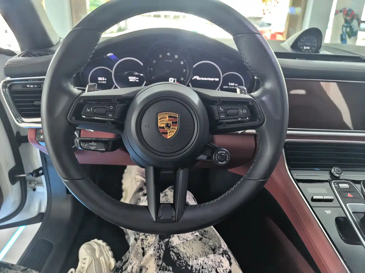 Porsche Panamera 2022 Panamera 2.9T Platinum Edition фото 16