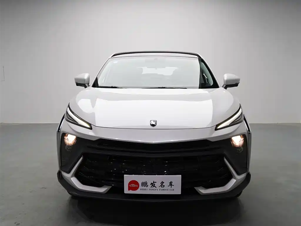 Dongfeng Fengxing Fengxing T5 EVO 2024 2024 Racing Edition 1.5TD DCT Gold