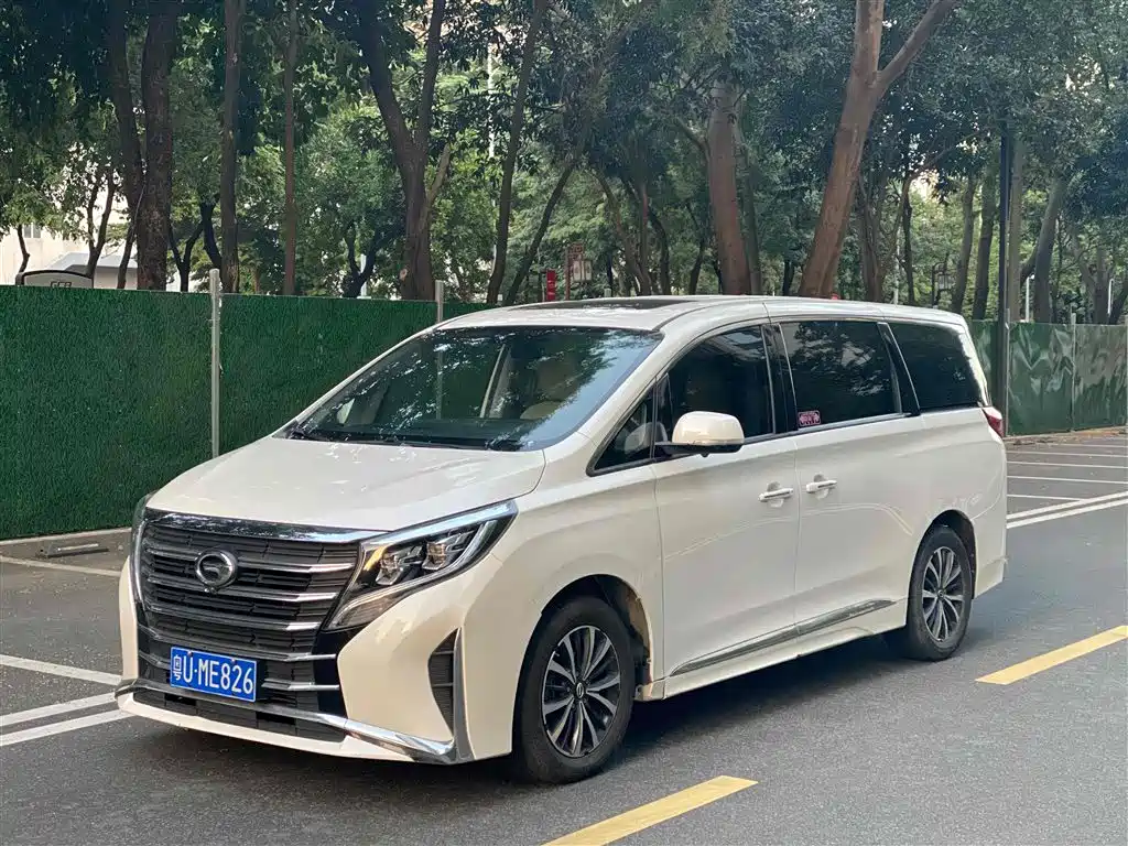 GAC Trumpchi Trumpchi M8 2021 Facelift Leading Series 390T Luxury Edition