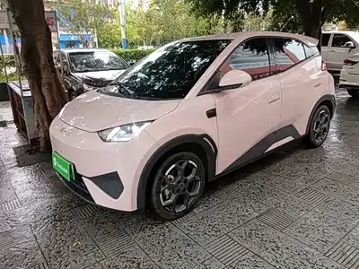 BYD Seagull