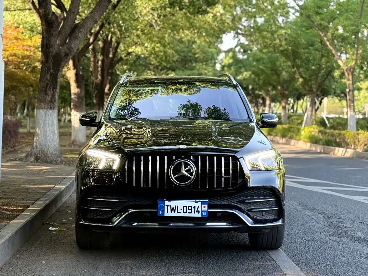 Mercedes-Benz GLE 2021 GLE 450 4MATIC Luxury фото 2
