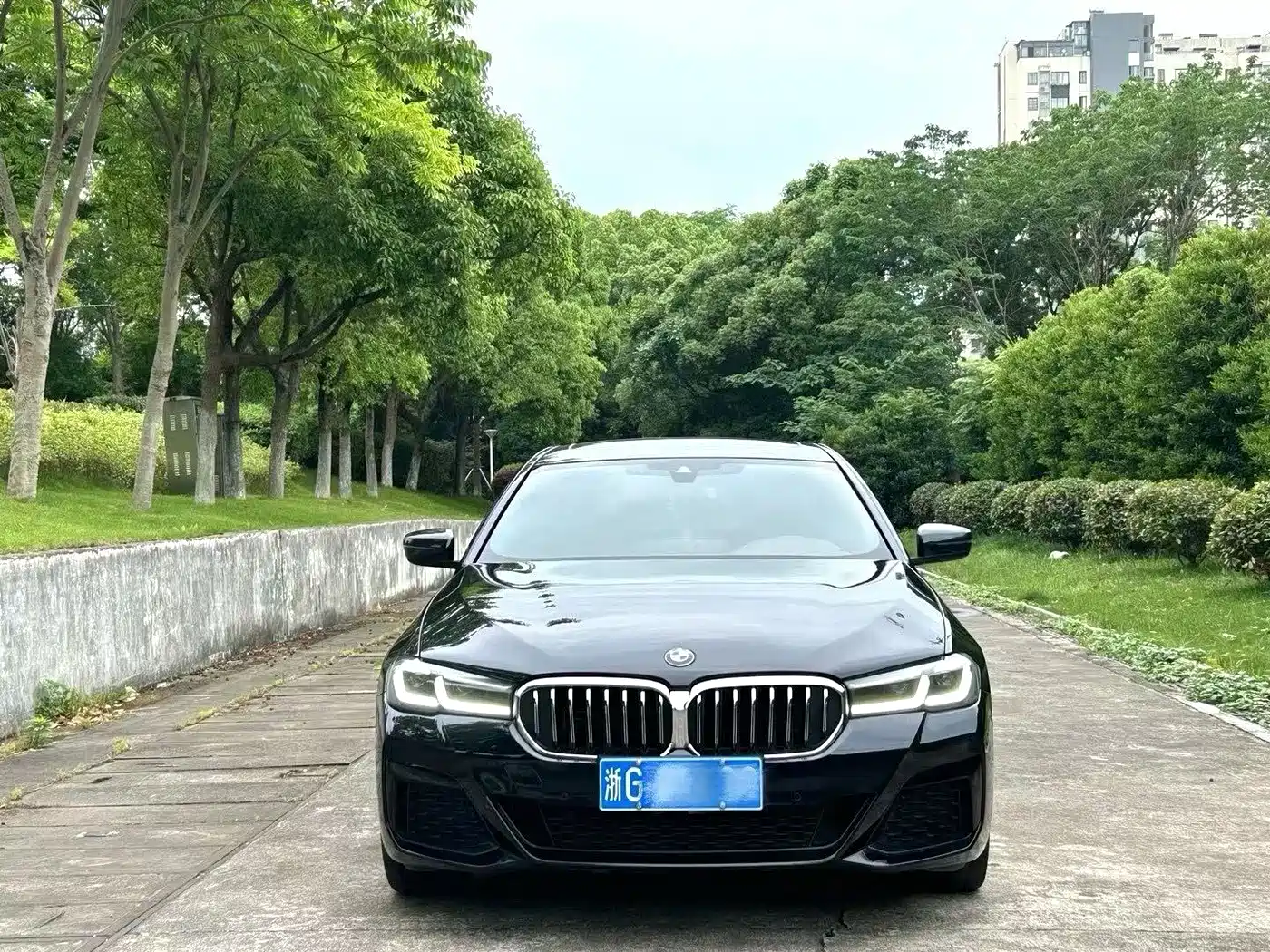 BMW 5 Series 2021 530Li Leading Luxury Package фото 2