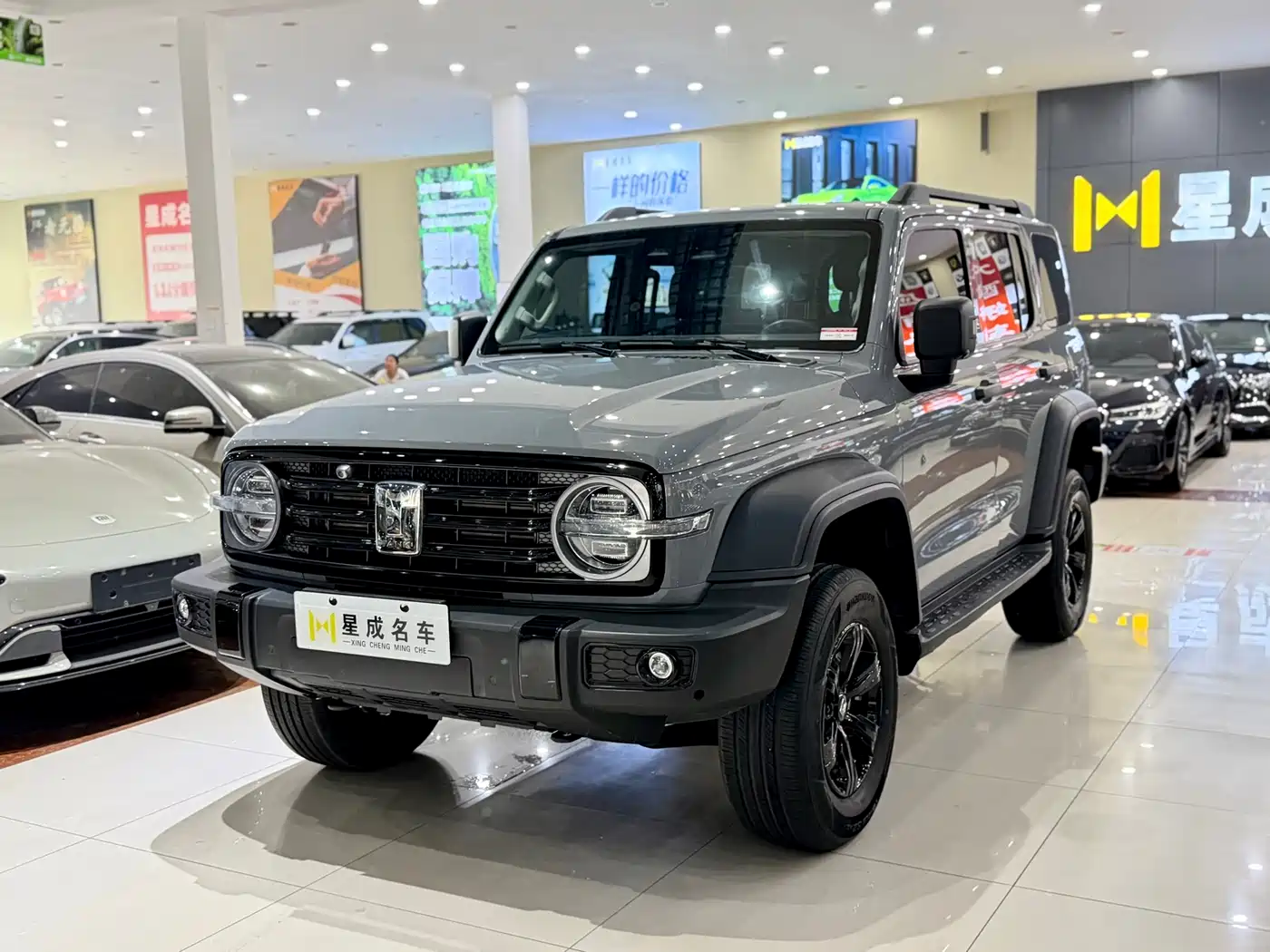 Tank 300 2023 Off-Road Edition 2.0T Conqueror
