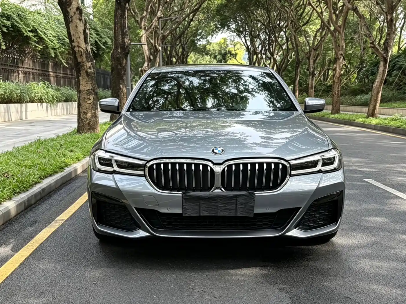 BMW 5 Series (Import) 2022 530i M Sport Package фото 2