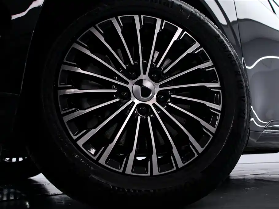 Denza D9 2024 DM-i 980 AWD Premium фото 16