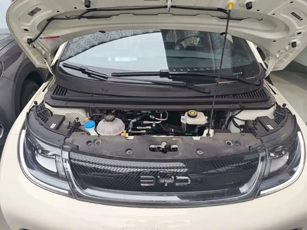BYD Dolphin 2026 2025 420km Freedom Edition