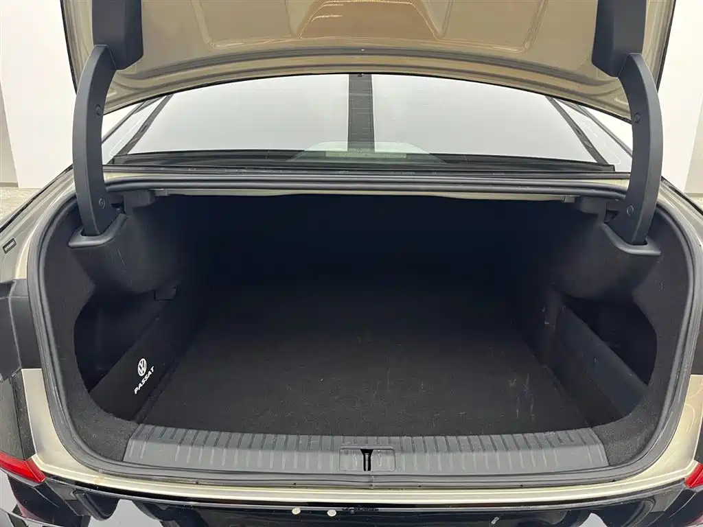 Volkswagen Passat 2020 330TSI Elite Edition China V фото 6