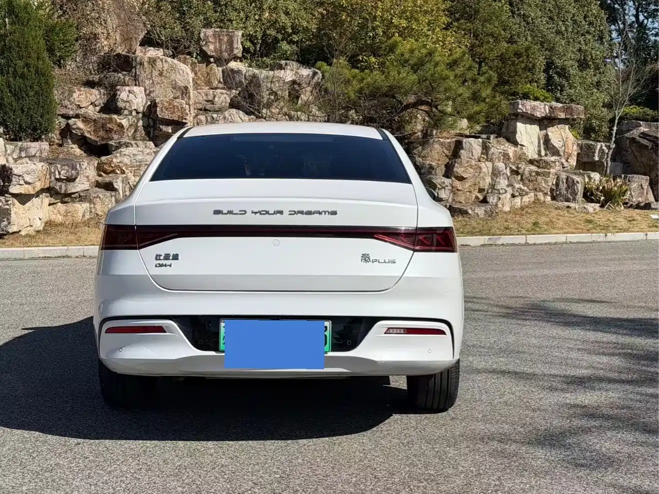 BYD Qin PLUS 2021 DM-i 55KM Premium фото 5