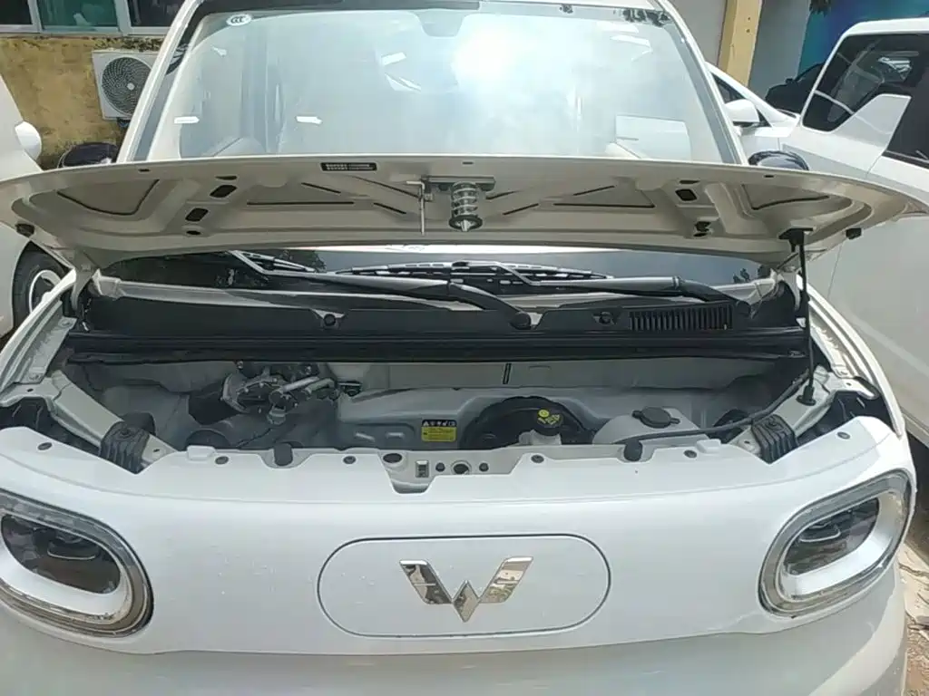 Фото 20 - Wuling Motors Hongguang MINIEV