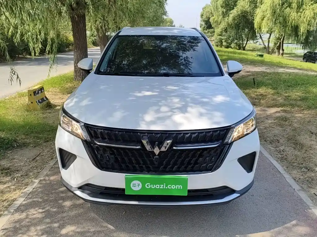 Wuling Motors Wuling Xingchen 2023 2021 1.5T Manual Star Joy Edition