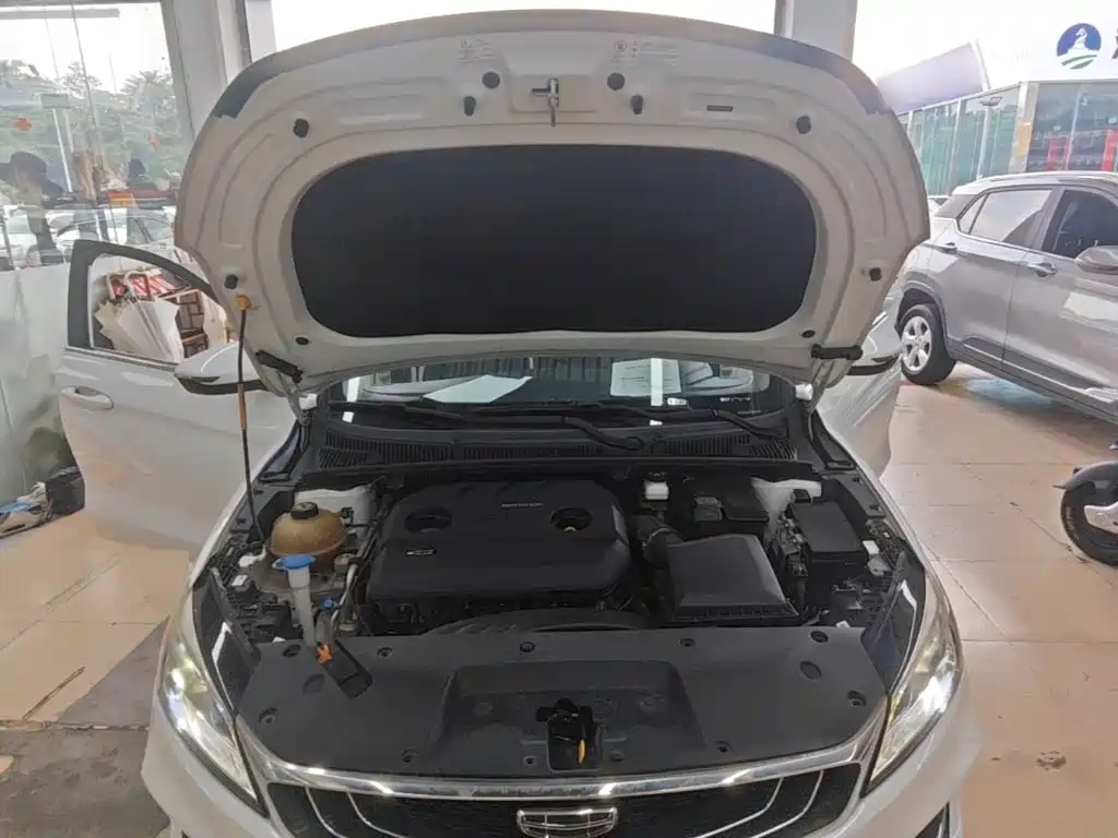 Geely Binrui 2019 2019 200T DCT Binshi Edition