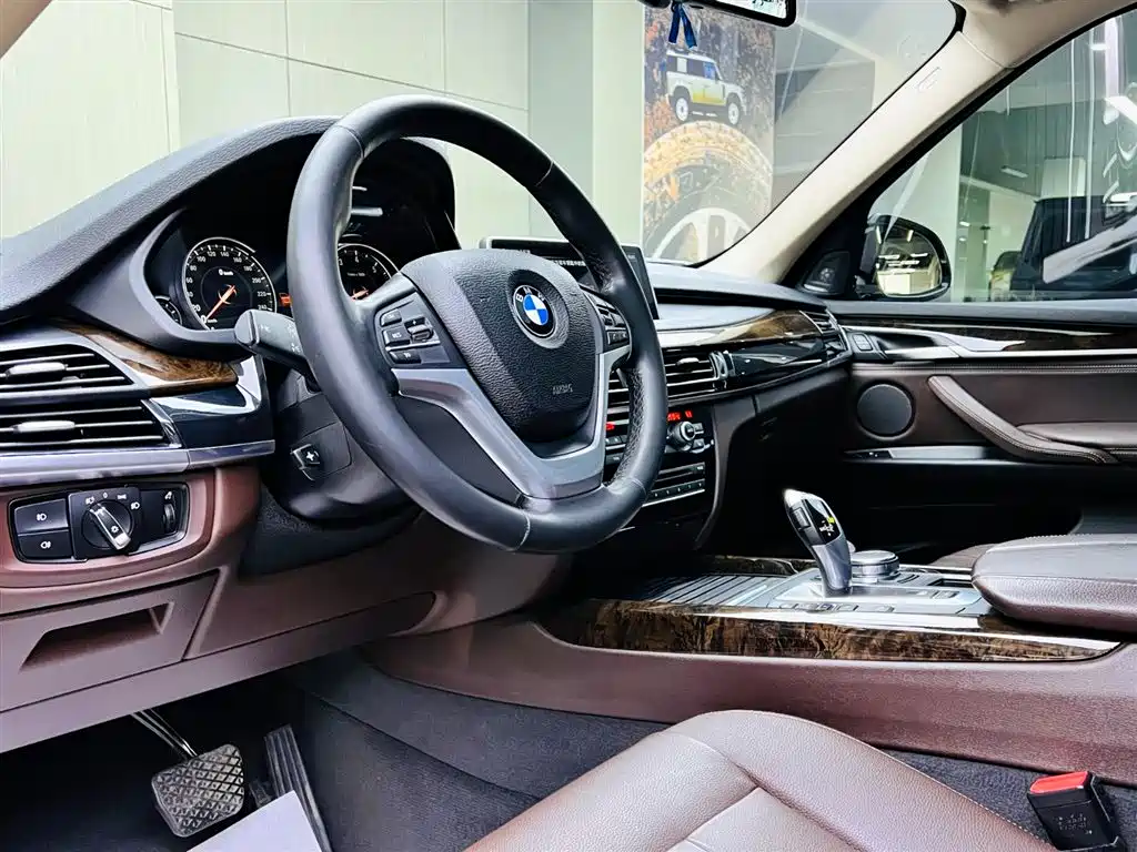 BMW X5 (Import) 2018 xDrive35i Elegant Model фото 8