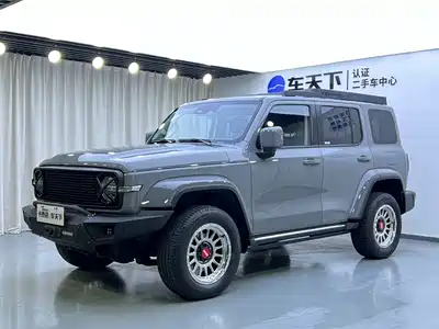Tank 300