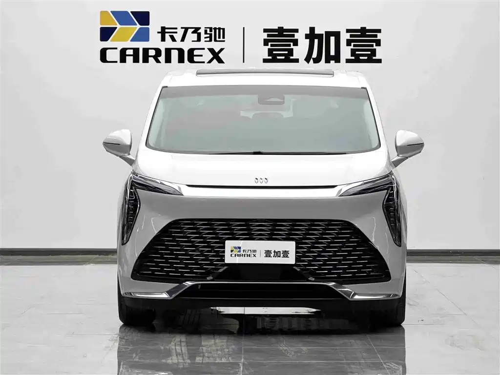 Buick Century 2025 2.0T 7-Seater World Edition фото 2