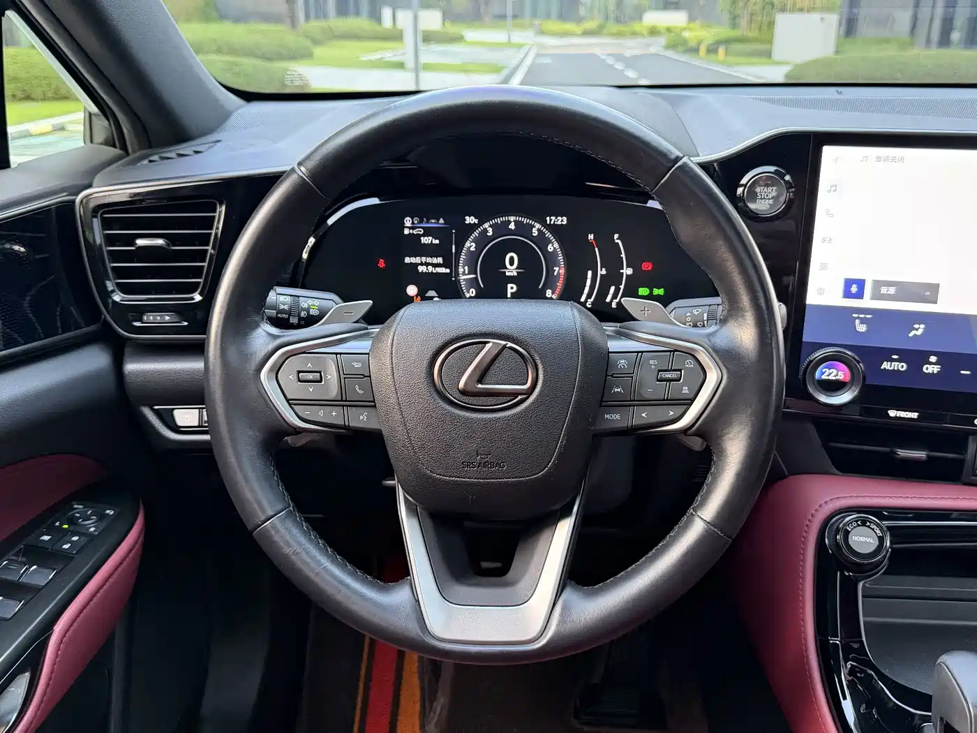 Lexus NX 2023 2023 260 FWD Joy Creation Edition