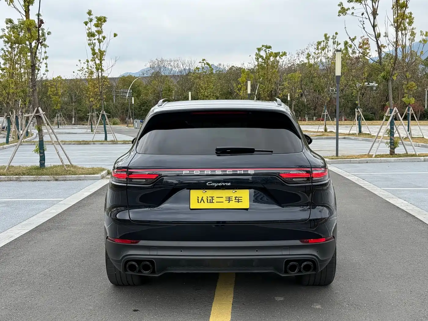 Porsche Cayenne 2019 Cayenne 3.0T фото 6