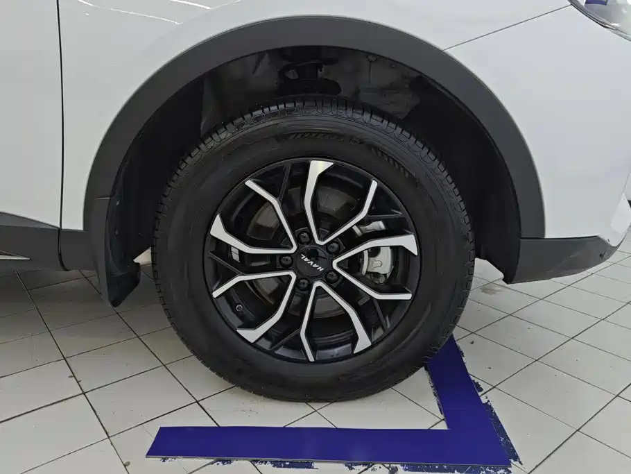 Haval H6 2024 2023 National Trend Edition 1.5T Automatic Urban
