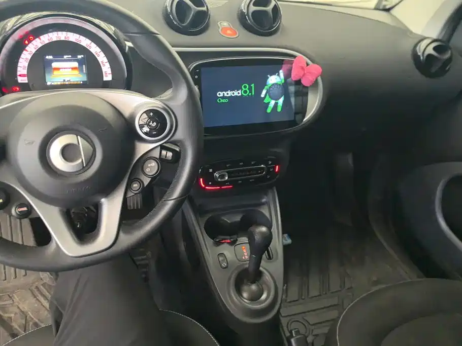 smart fortwo 2019 2018 0.9T 66kW Hardtop Pioneer Edition China V