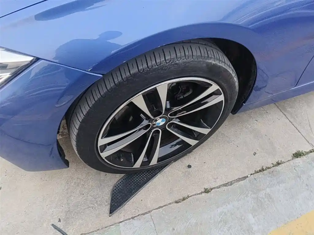BMW 3 Series 2019 320Li M Sport Package фото 23