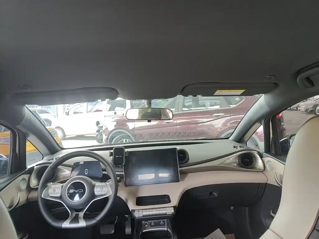 BYD Dolphin 2025 2025 420km Freedom Edition