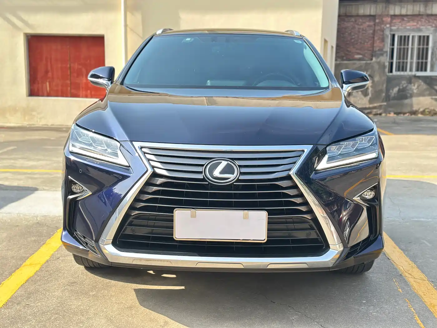 Lexus RX 2016 300 4WD Elegance Edition (China V) фото 2