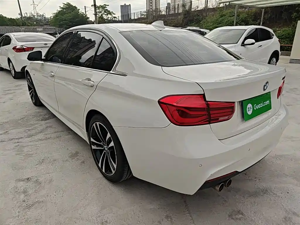 BMW 3 Series 2019 320Li M Luxury Package фото 5